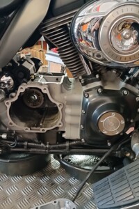Panhead a Treviso